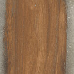 Rondine Infusion Nut