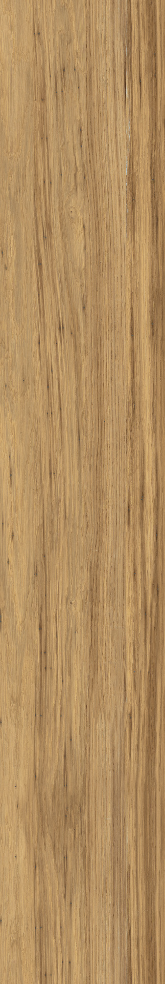 Woodclass Honey